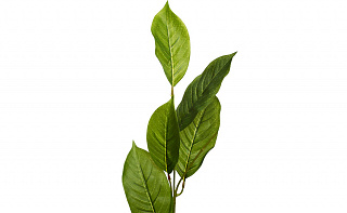 9F27924N-4382 Artificial jacaranda leafs 84cm, (24)